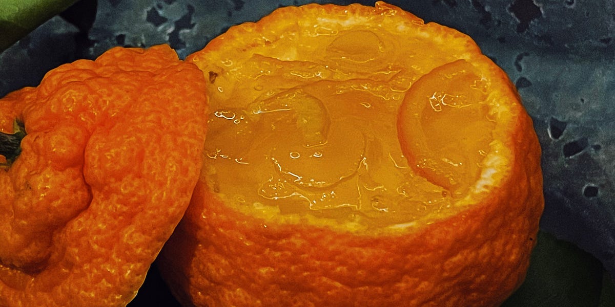 Winter Citrus Satsuma Mandarin Dessert by Ethel Koh