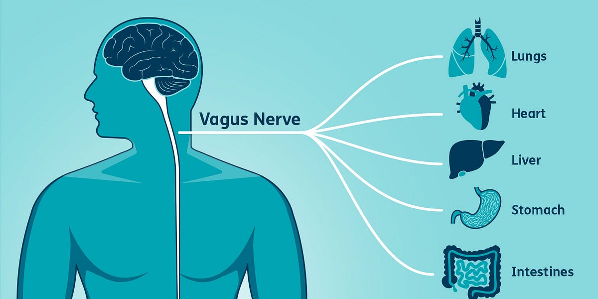 How Trauma is Stored in the Body & Its Impact 🧠