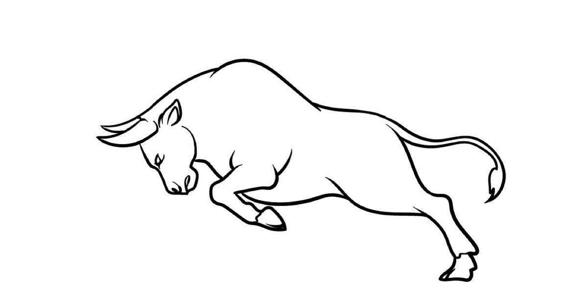 Welcome to the T Bull Market – Coinfn.link