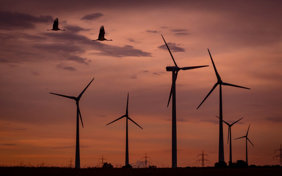 How many birds do wind farms kill? by Hannah Ritchie