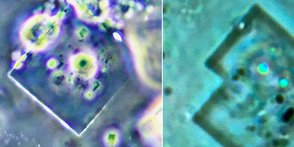 Comparative Morphology of Microchips Assmebled in Dental Anaesthetics