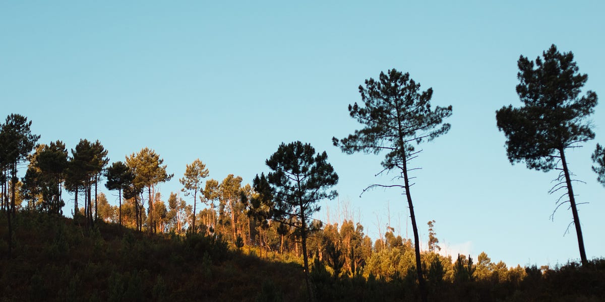 Audio Substack 1: If not now, when? - by Zanthea Chulio