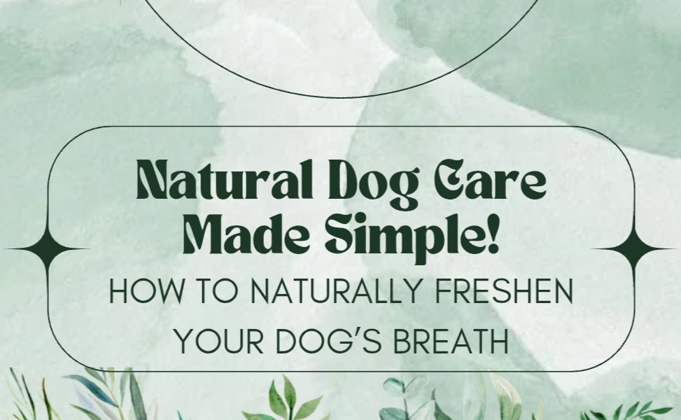 How to Naturally Freshen Your Dog’s Breath
