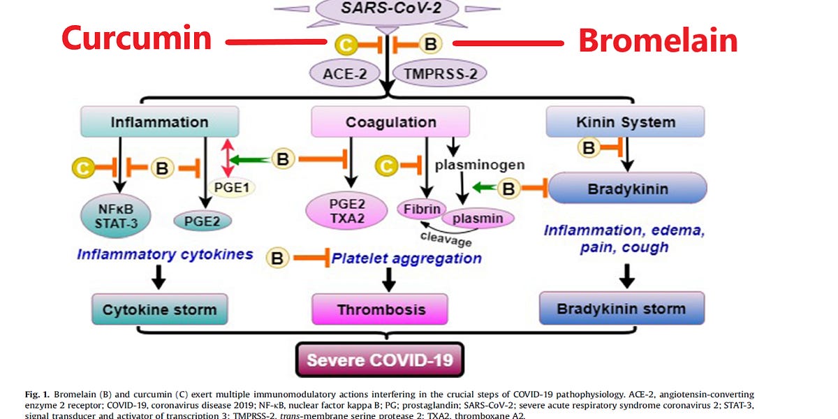 Roles of Bromelain and Curcumin in Battling Recurrent SARSCoV2 Spike