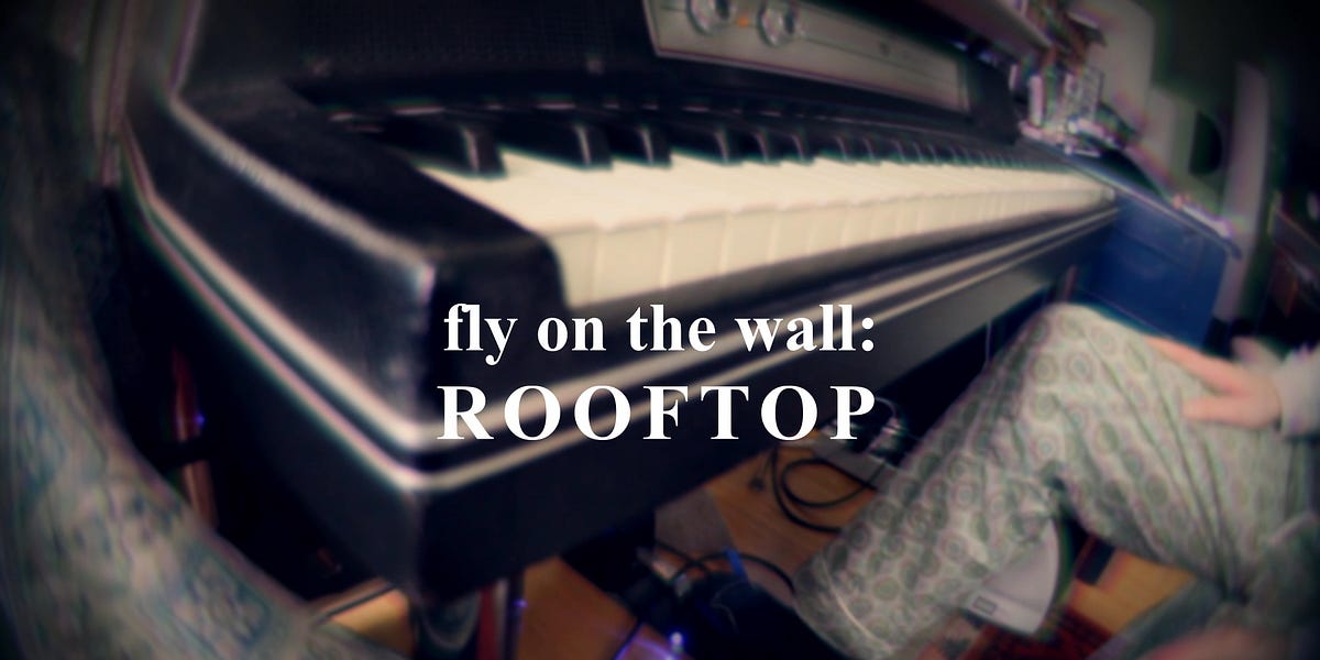Rooftop Fly On The Wall By Pete Droge Love Songs Etc