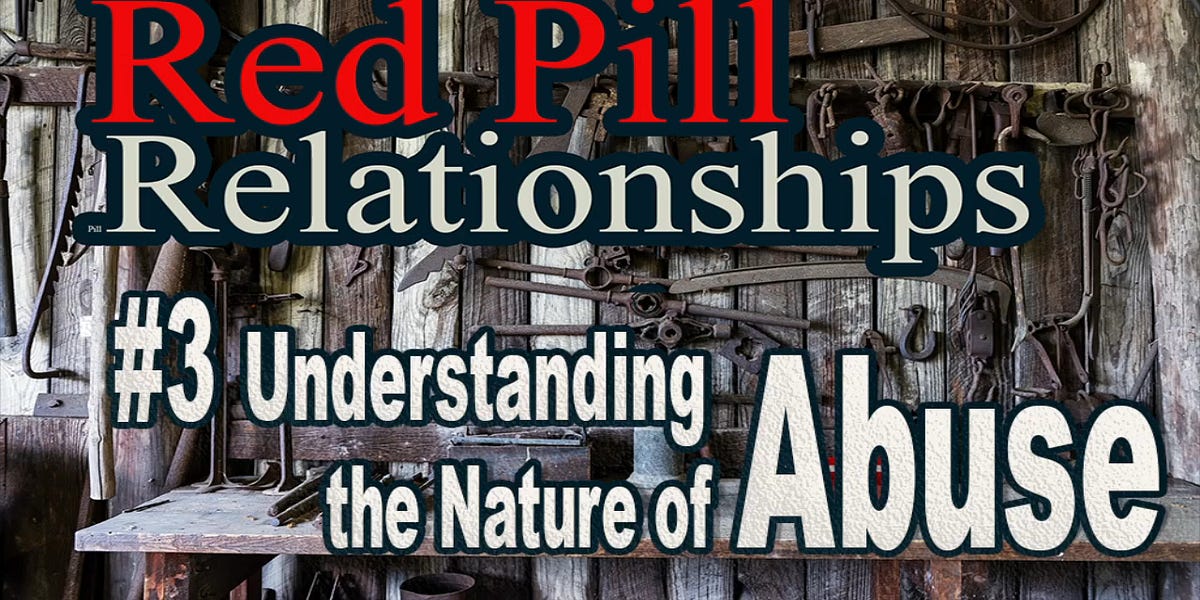 Red Pill Relationships 3 Understanding the Nature of Abuse