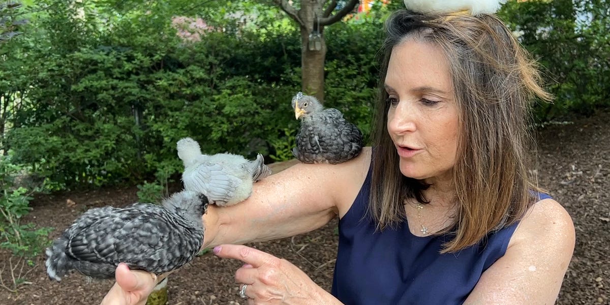 Best & Highest Use Civil Discourse with Joyce Vance