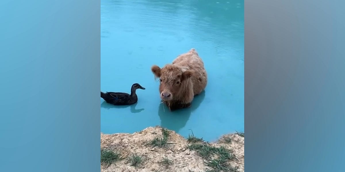 Ozzy Man Reviews Mega Compilation 16