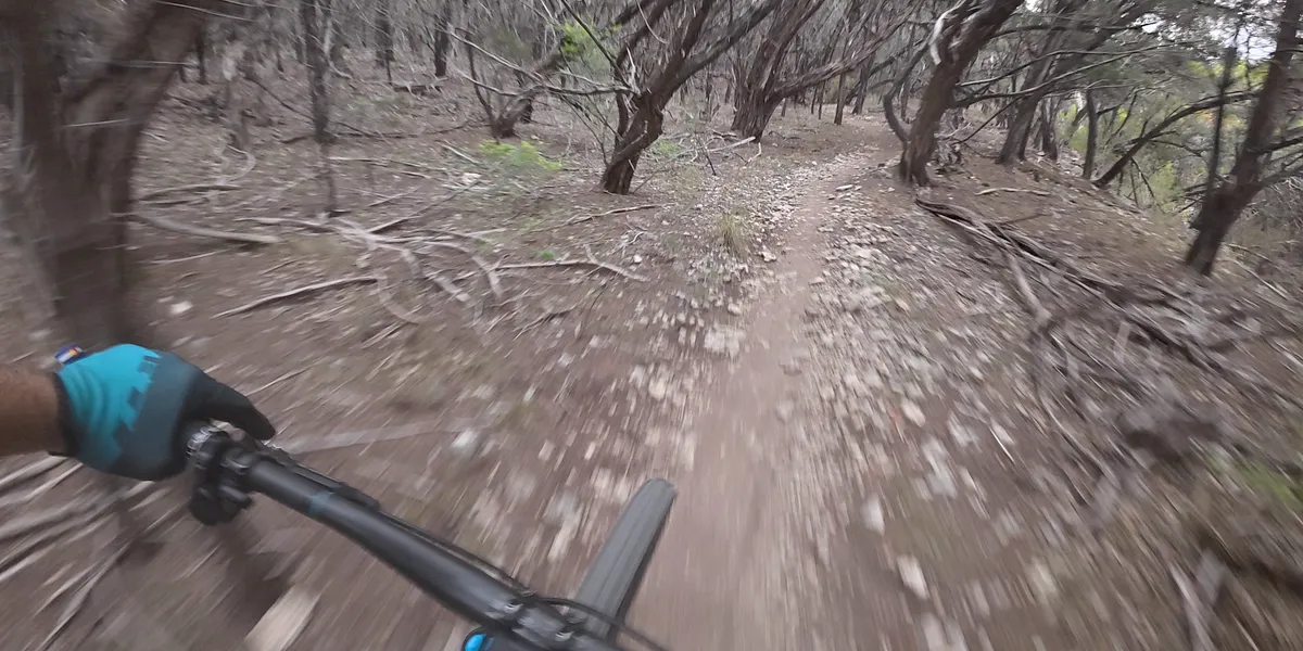 GPCX Weekly Digest #17