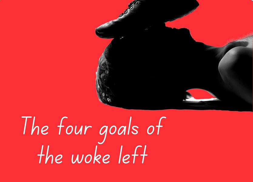 The Four Primary Goals of the Woke Left