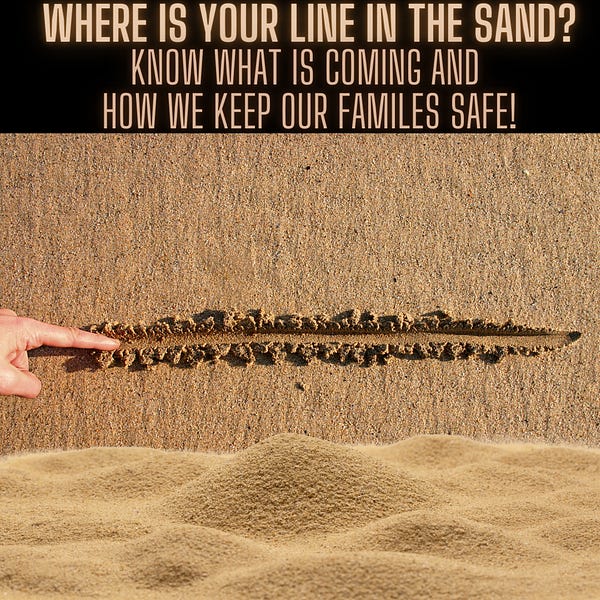 Will America Survive This? It's Coming - Do You Know What to Do to Save You, Your Children and Grandchildren?