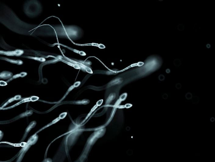 Pfizer, FDA, CDC Hid Proven Harms to Male Sperm Quality, Testes Function, from mRNA Vaccine Ingredients