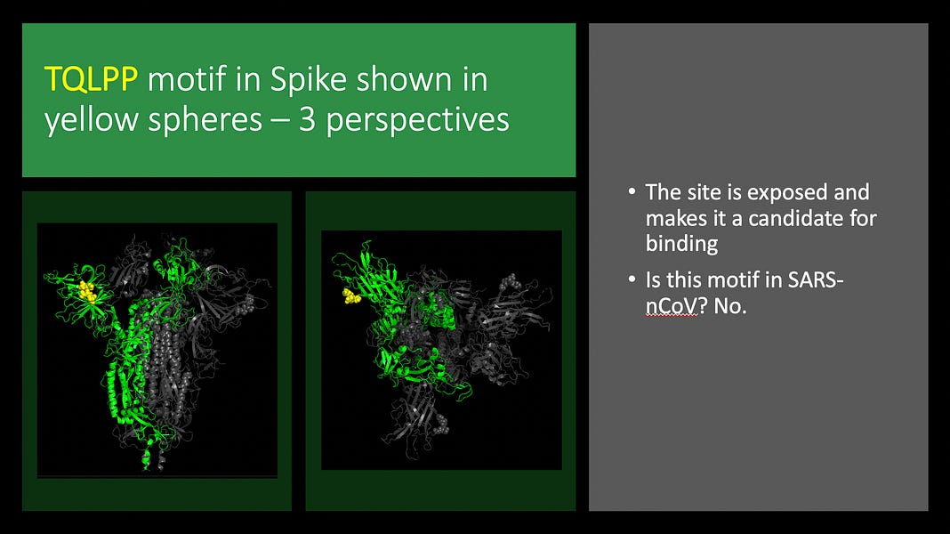 Molecular mimicry of SARS-nCoV-2 spike to human proteins including thrombopoietin and TLR-8