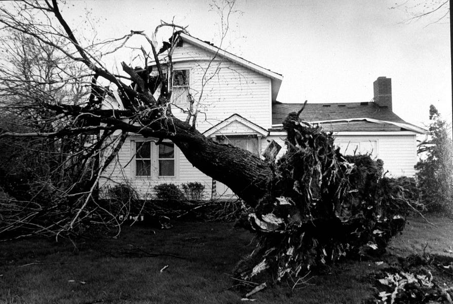 How to Keep Cakes Moist and Cause the Greatest Tragedies of the 20th Century cover