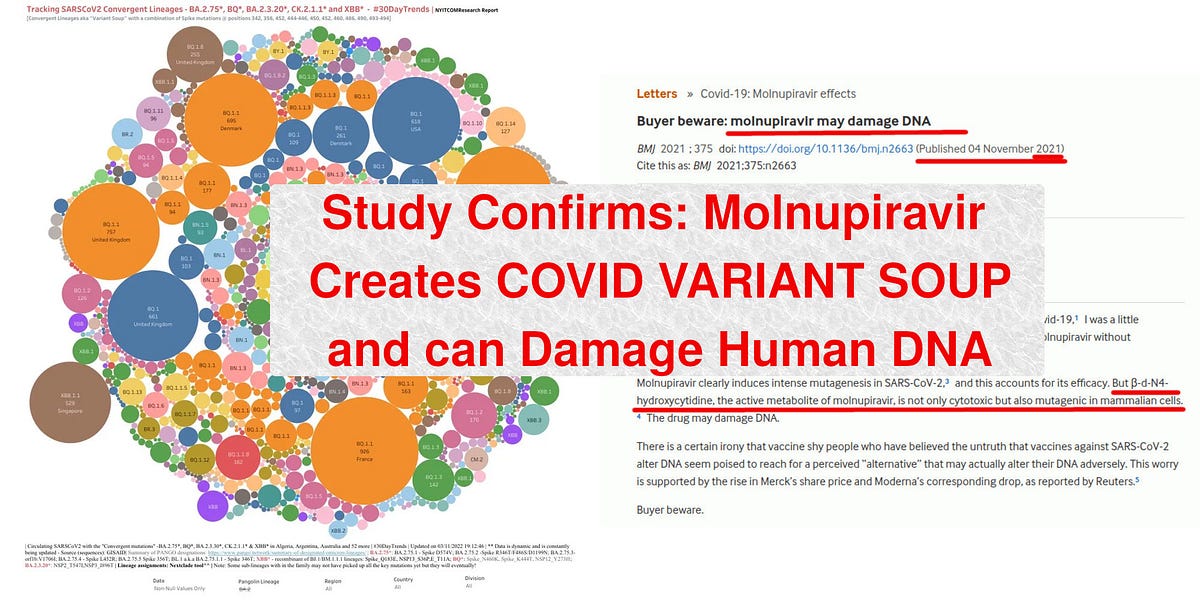 Study Confirms that Molnupiravir Creates COVID "Variant Soup". How could the FDA Approve It?
