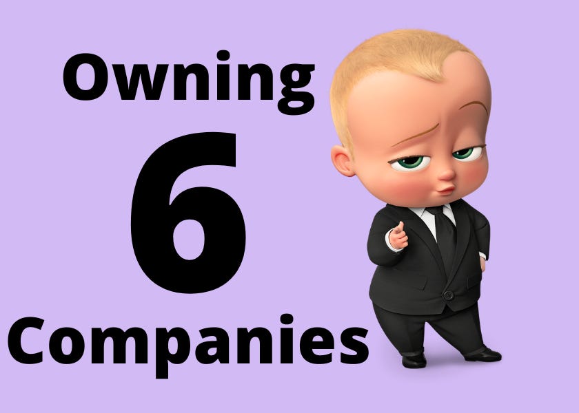 I own 6 companies now!!! 😎 | #28