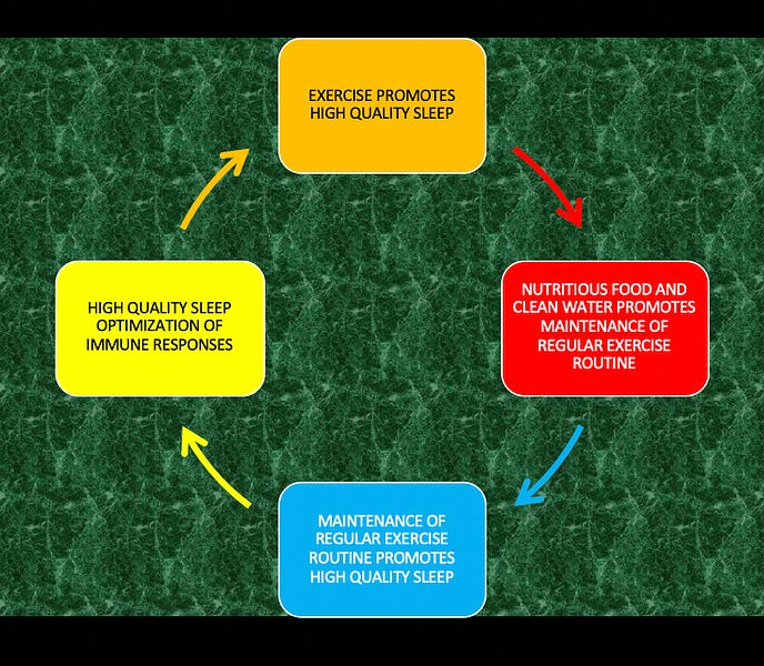Sleep and vaccine responses