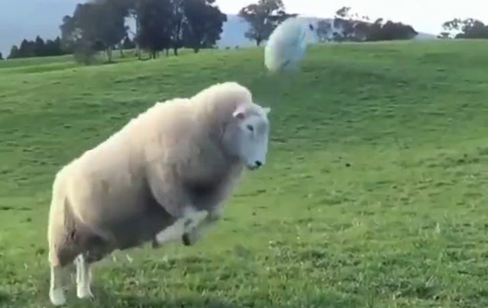 Eyes On The Ball