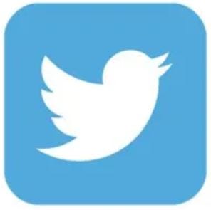 Will Twitter choose Free Speech or kowtow to the "woke"