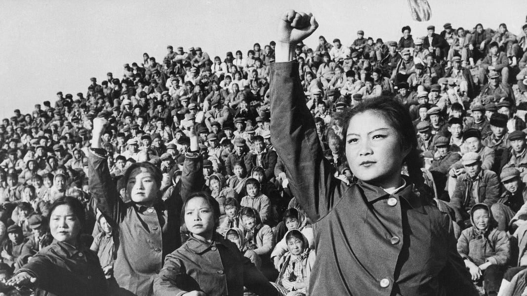 What we must do to end the woke cultural revolution