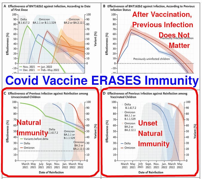 Yes, Covid Vaccines UNSET and ERASE Natural Immunity