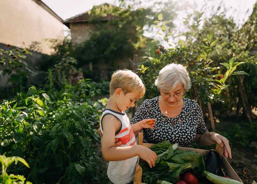 Gardens Are Growing Due to Food Shortage