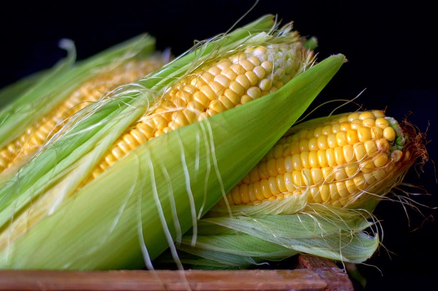 Growing Good Corn