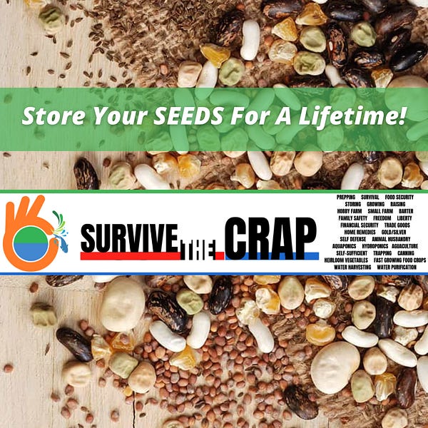 How To Store Seeds For A Lifetime!