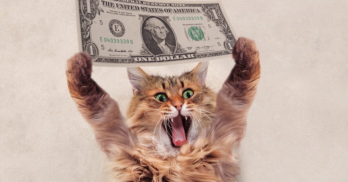 why you should be thrilled to pay twitter a monthly fee