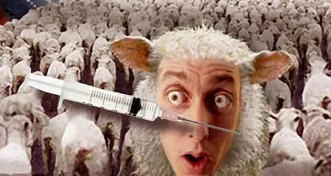 The history behind "Herd Immunity" helps to explain why each of our officials lied to us when marketing the vaccines.