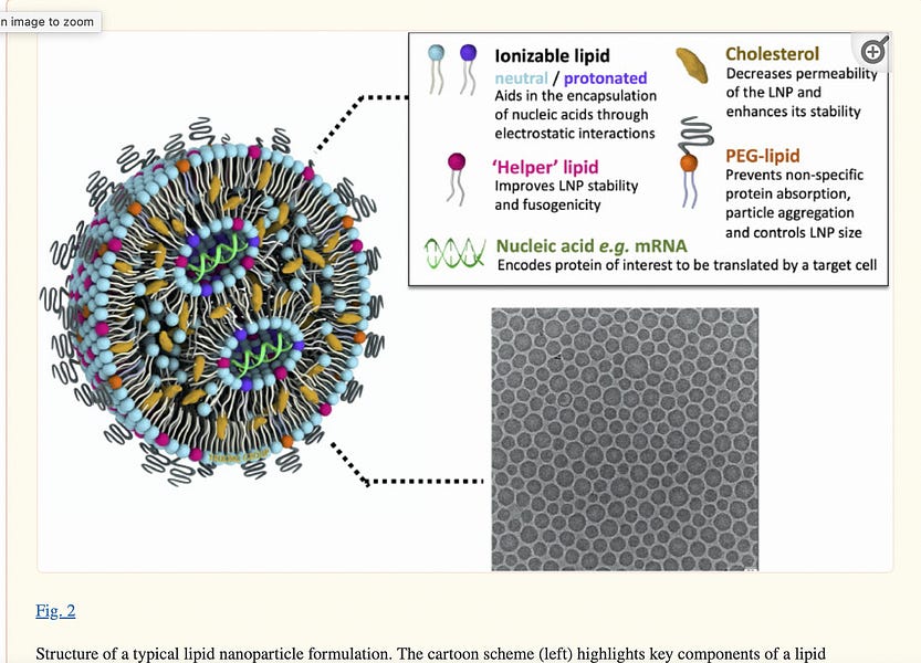 Lipid Nanoparticles: Are They Subtly Changing Human Beings?