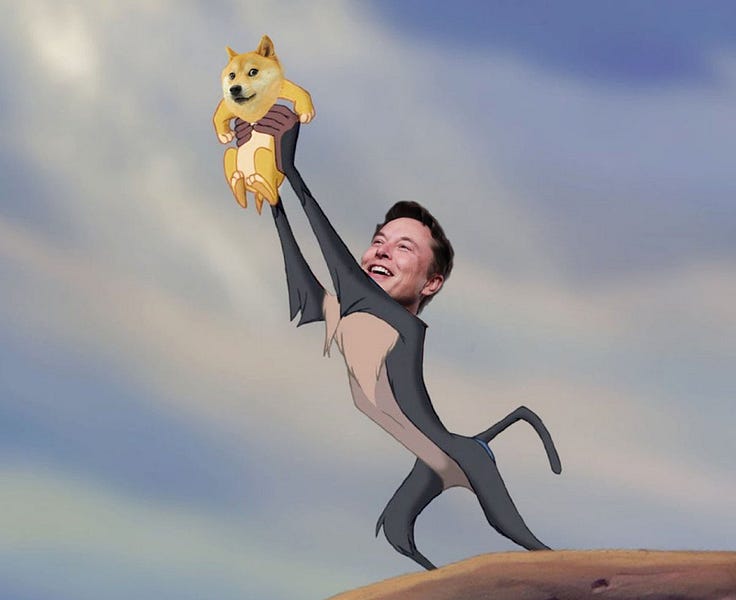 Elon, DOGE, and Twitter