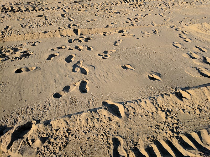 Calculating various carbon footprints.
