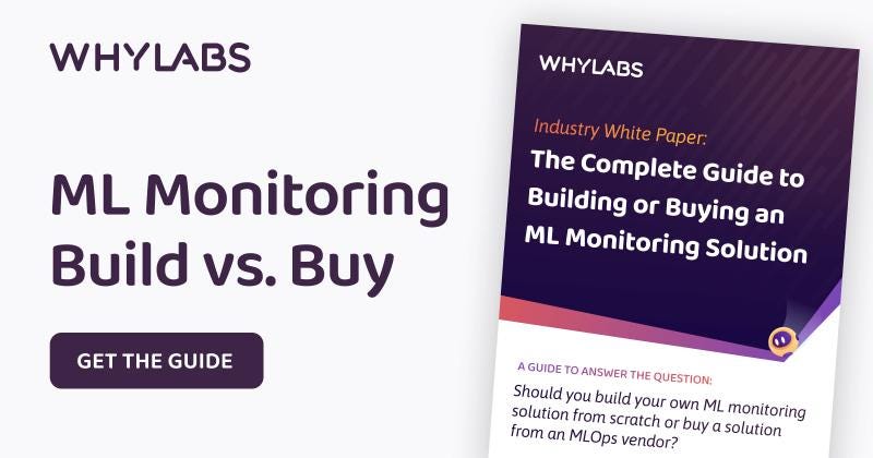 📍 Free Guide: Maximize the ROI of your AI/ML Investment: Building vs. Buying Monitoring Solutions*