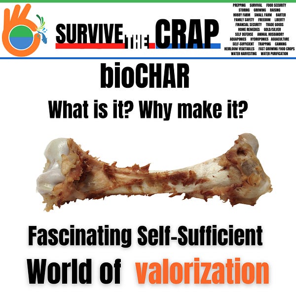 What The Hell is VALORIZATION?