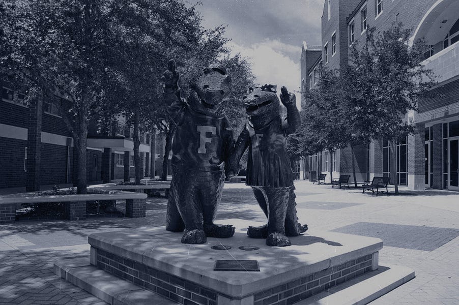 DEI Captures the University of Florida