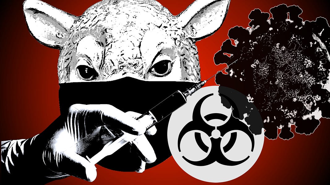THESE PEOPLE PLAY INSIDE OF A BOX: Bullseye! 8-months Old Analytical Projection Manifesting, WHO Issues Warning on Bird Flu Pandemic