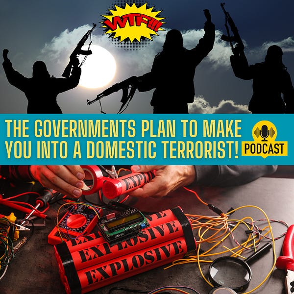 The Government's Plan to Make YOU Into a Domestic Terrorist!
