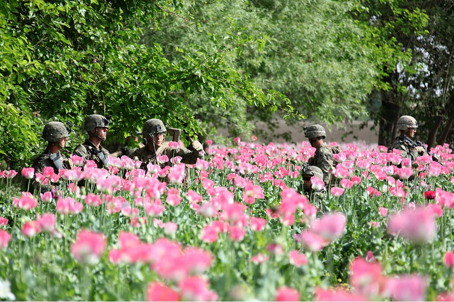 Afghan Drug Lords Escaped Justice—But Did It Matter?