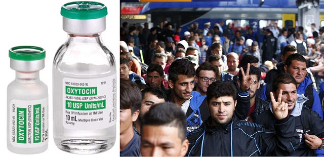 Study Advocates Doping Population With Female Hormone Oxytocin To Promote Acceptance Of Refugees