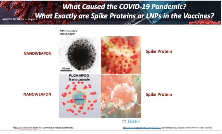 AI Magnetic Hydrogel Bioweapon and Nanotechnology in C19 shots - Ana Mihalcea, MD, PhD Interviews Karen Kingston