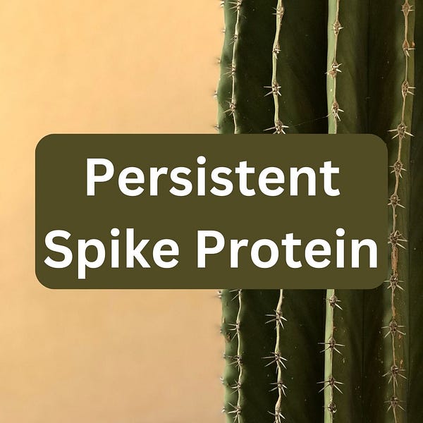 Persistent Spike Protein