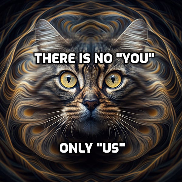 breaking the mancubs: activism as identity