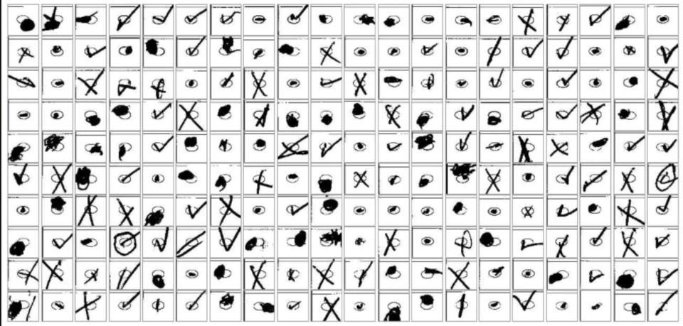BALLOT STRAY MARKS, RANDOM MARKS and FORCED ADJUDICATION