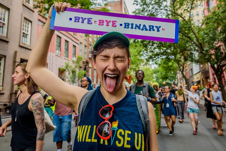 The Queers Versus The Homosexuals - Vimarsana News