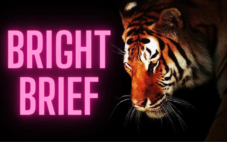 Bright Brief - Julian's Rumblings