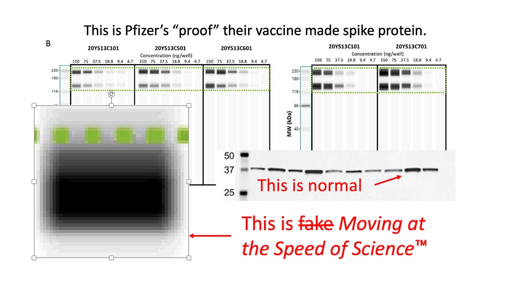 We Now Have Key Evidence Pfizer Committed Fraud