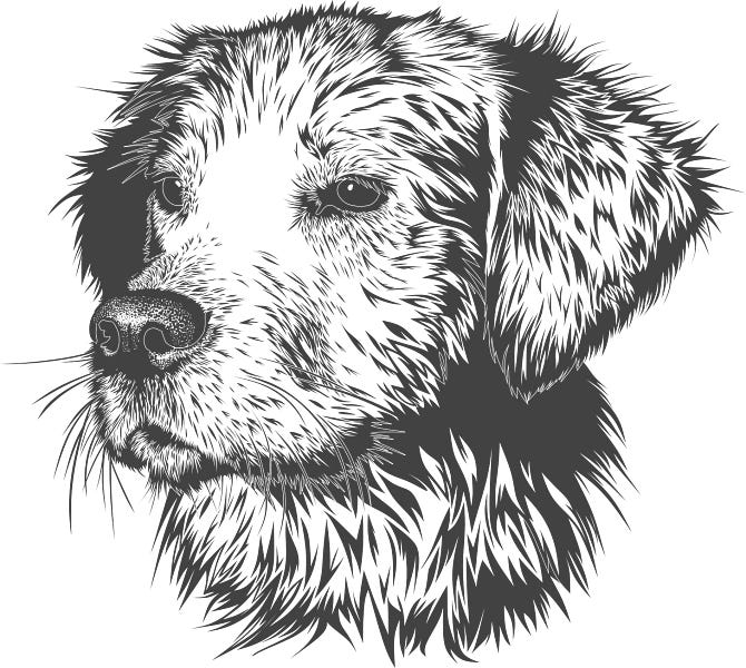 A Story 'bout a Dog 100 Word Stories by Erica Drayton