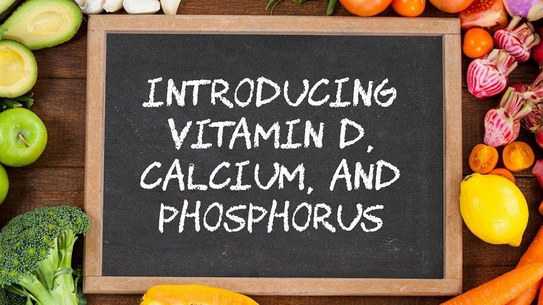 Introducing Vitamin D, Calcium, and Phosphorus