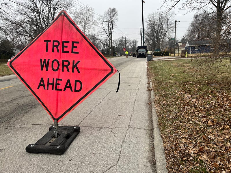 As trees are cut, WL takes heat for Lindberg Road project
